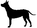 Icon dog
